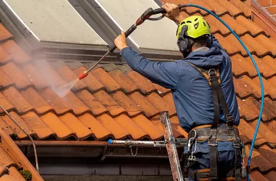 Démoussage et hydrofuge de toiture à Trimer